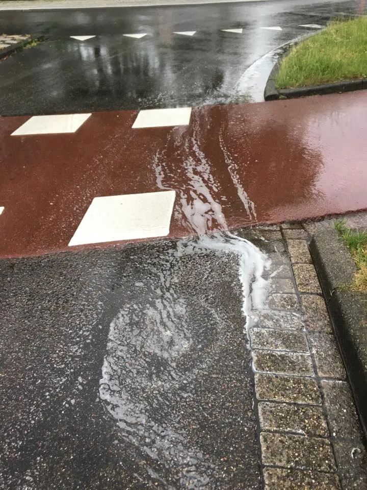 279887911 326442956296698 6656931075291660727 n