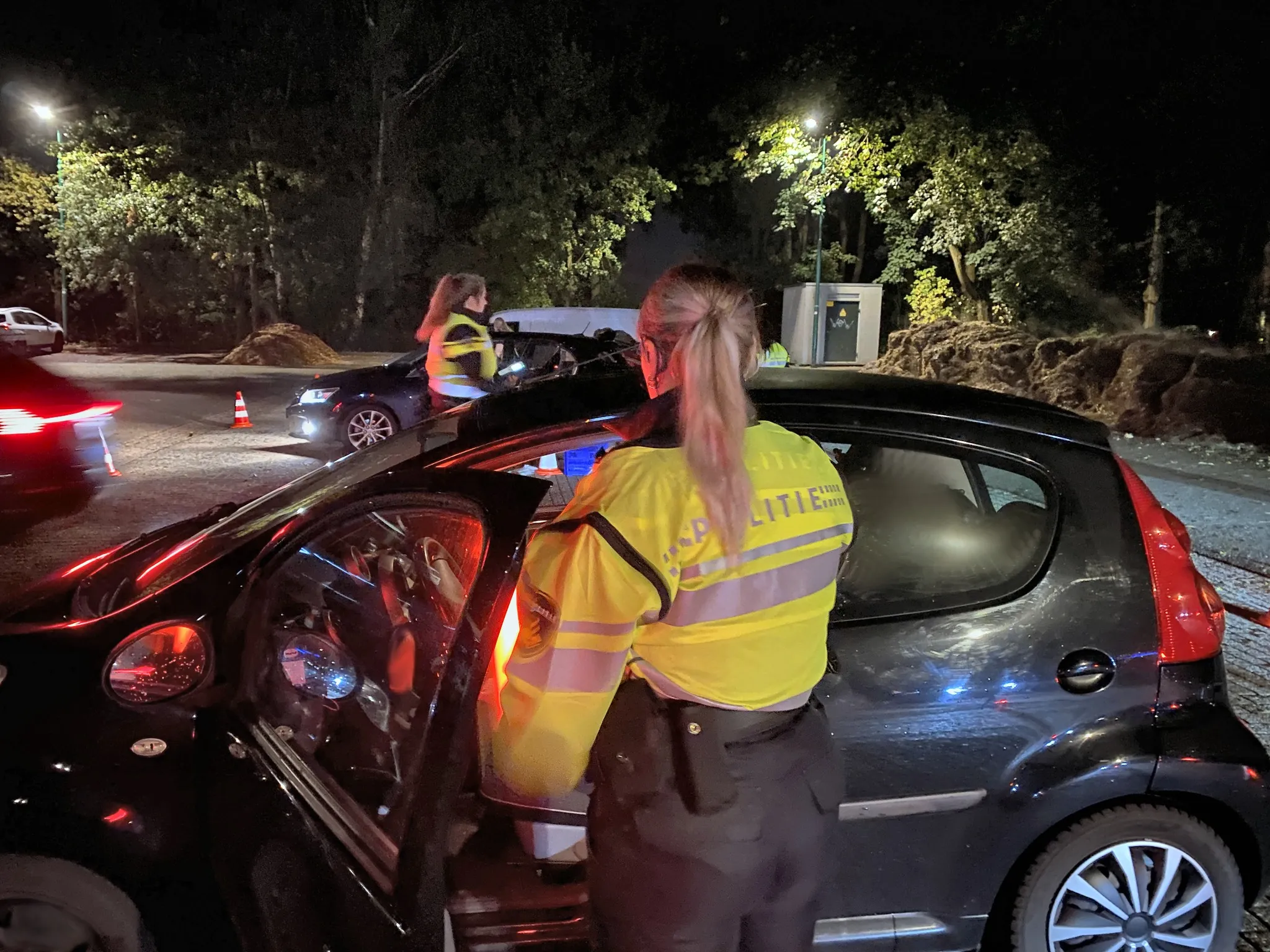 311133439 437467615194231 5682532934615519801 n