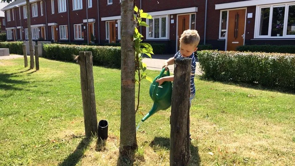 37325958 2026123520739358 2254316037455478784 n