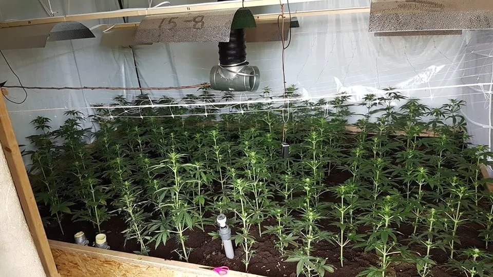 39254944 1278871762254606 2851460884105003008 n