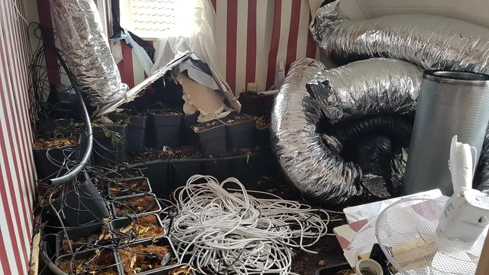 41106080 1298590236949425 8132381911956848640 n