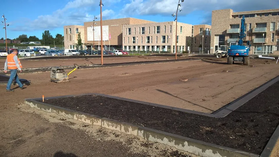 43653353 2150355081649534 2625871334655131648 n