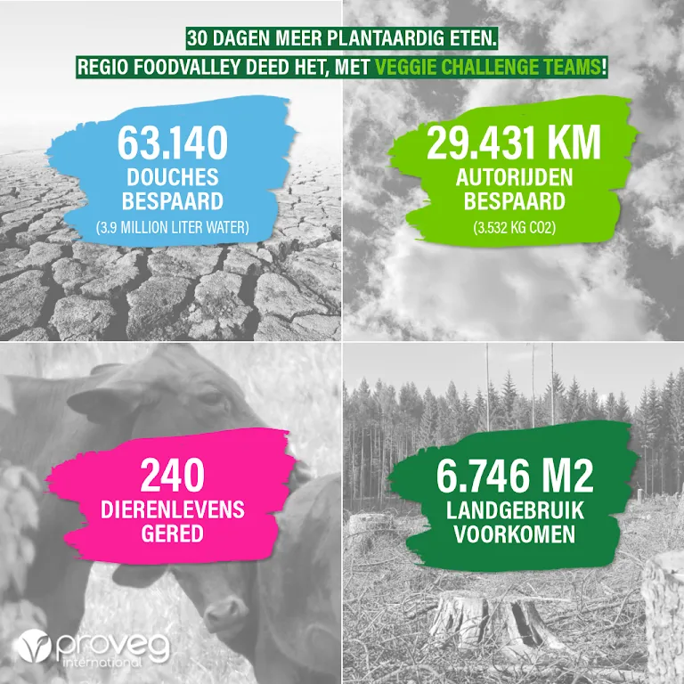 4427 e2266ee16916424a82aafe8ff13d96f7