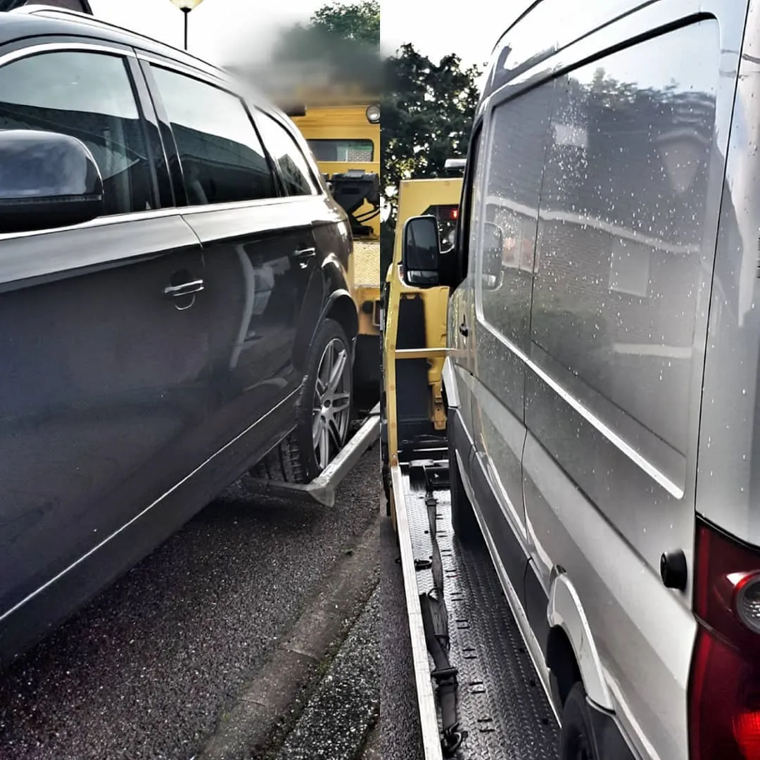 59478035 2311322082522267 4166493553026125618 n