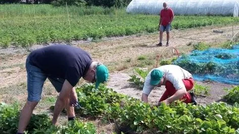 5bc87045 4659 4596 bc07 4bd1f79b14e0