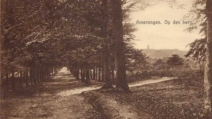 75991dbd 1980 4b3b a7cc ccce3c7d03b6