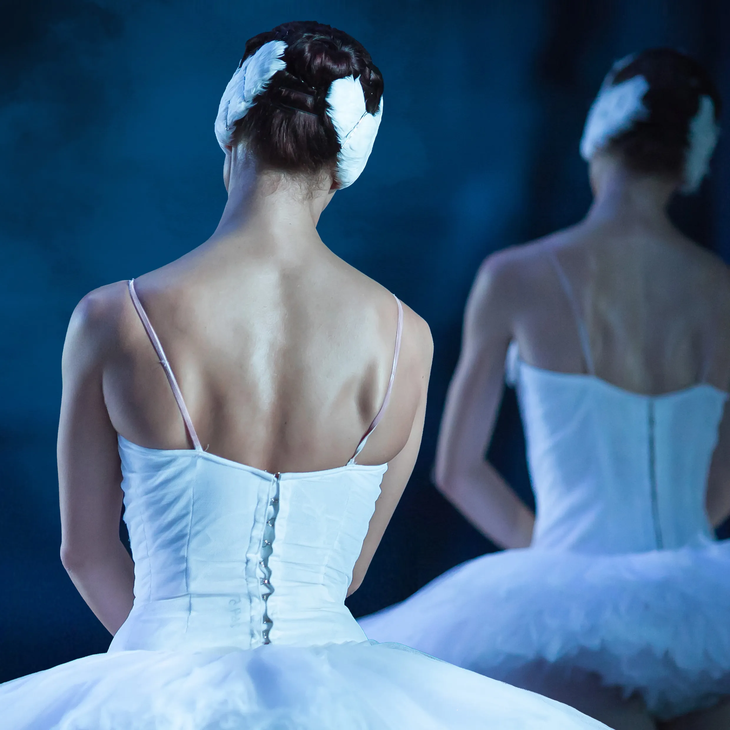ballet zwanenmeer webbanner vk 2223