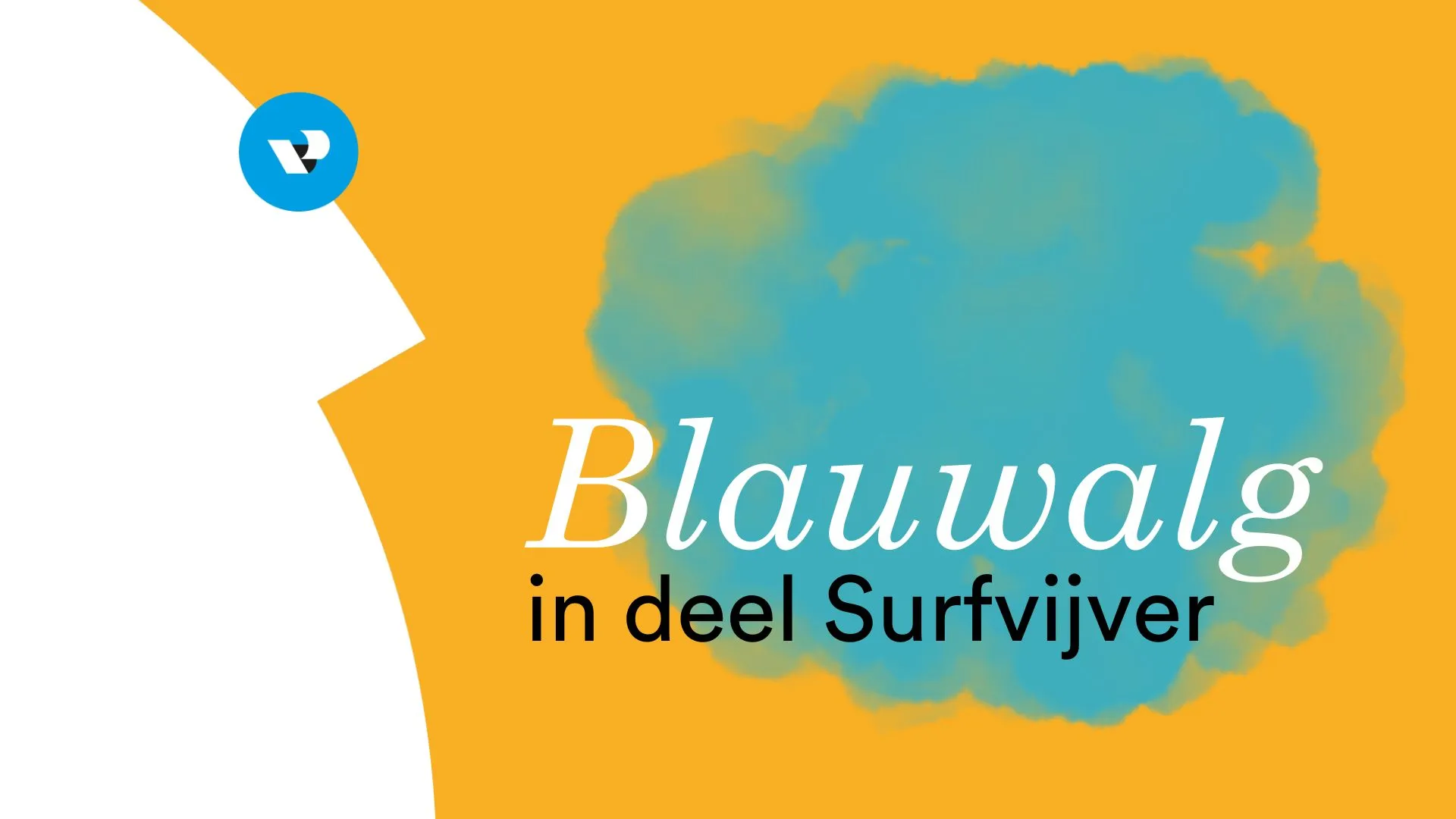 blauwalg