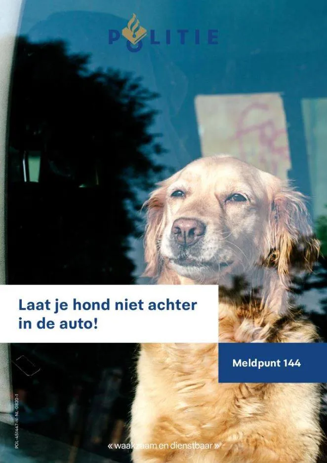 hond