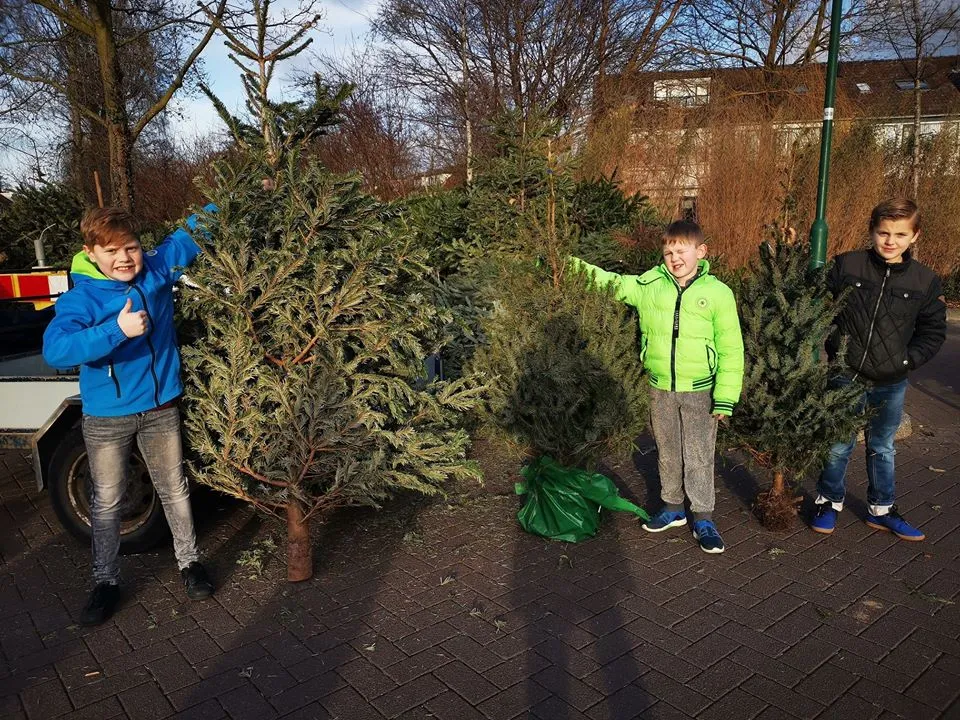 kerstbomen