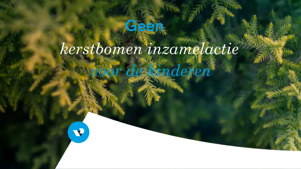 kerstbomen inzamelen