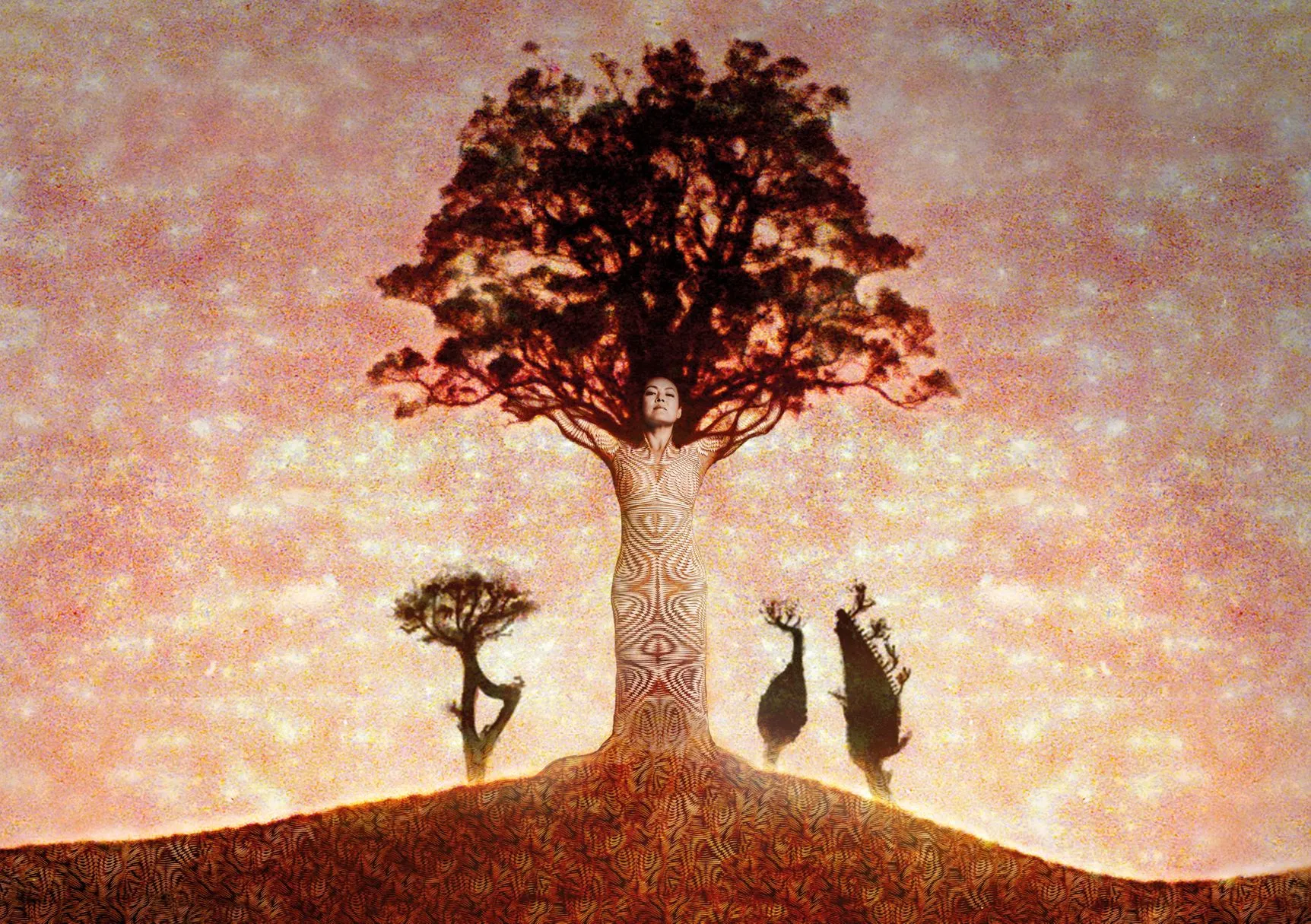 laviniameijer enhetaao immortaltrees c udo prinsen liggend