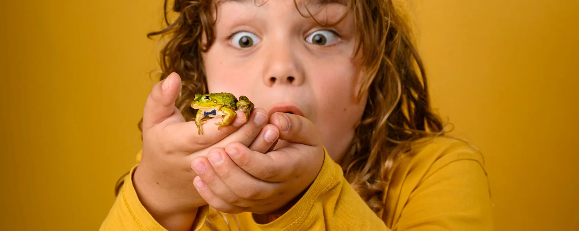 meesterkikker liggend