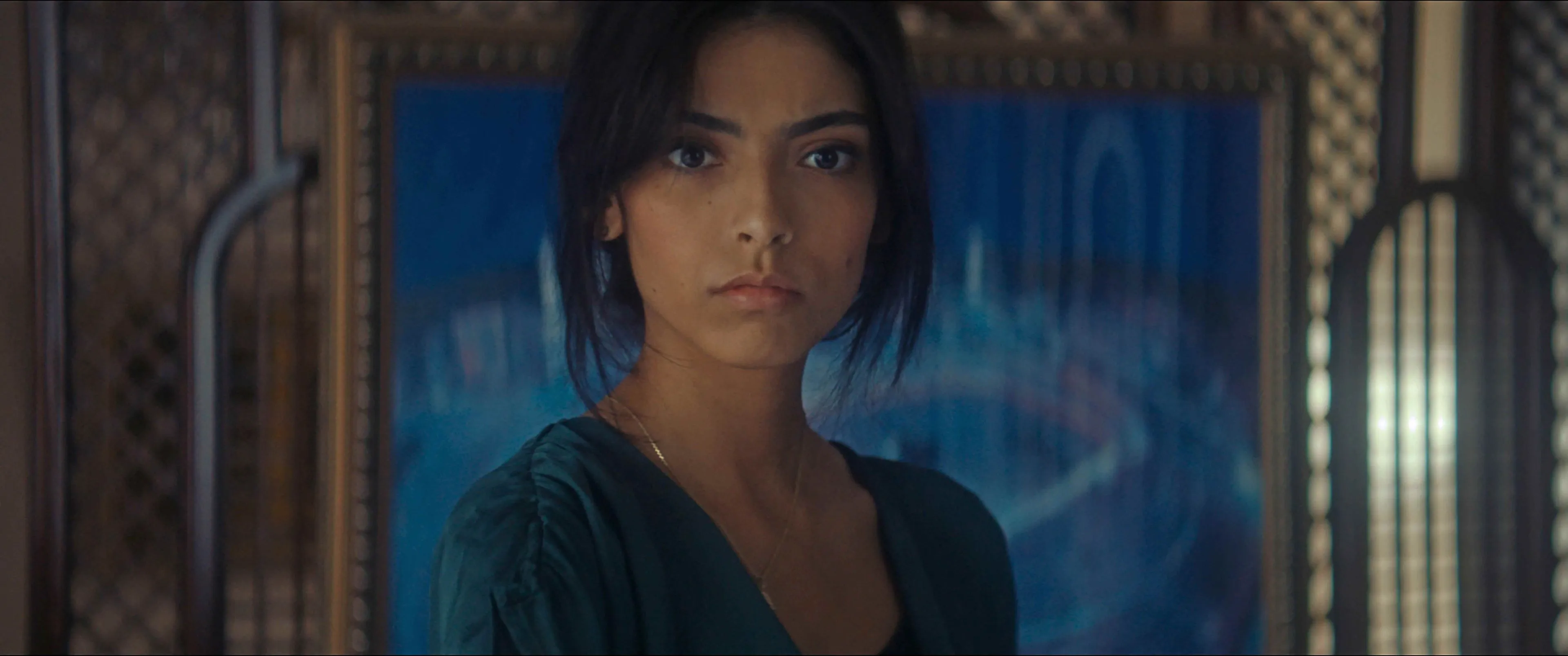 animalia st 8 jpg sd high