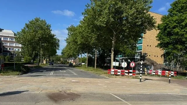 boompjesgoed