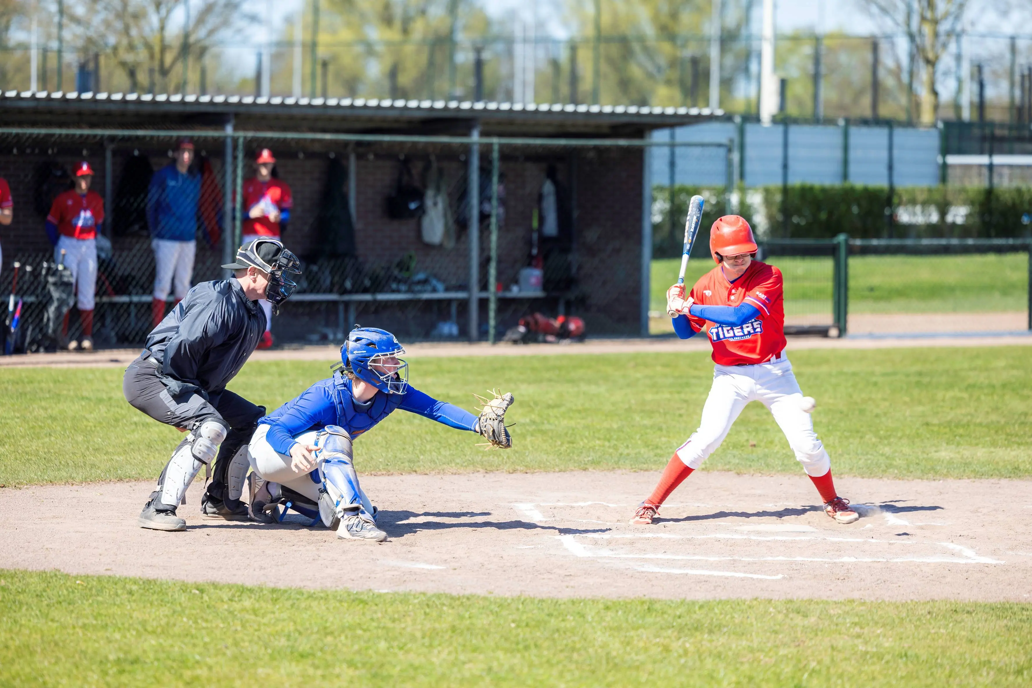 A keuze TedWalkerfotografie-Honkbalbluesocks-5