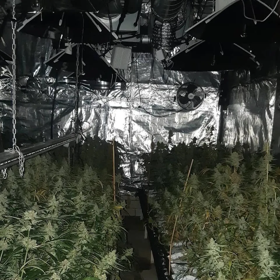 4253213b 51be 4ffc aac4 8b4baeba0de3