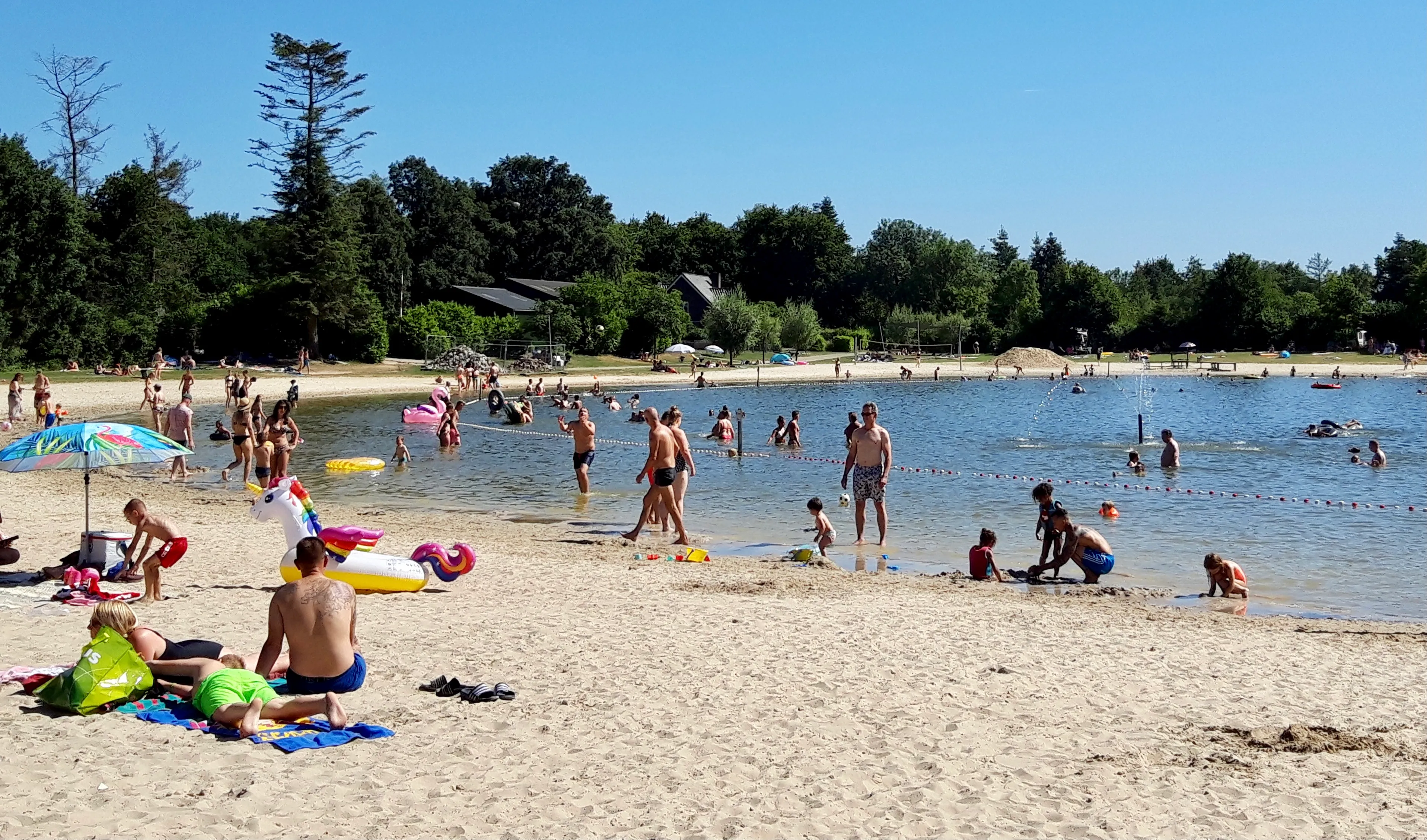 aaab8aef dc59 4da2 91e1 99b64cc26596