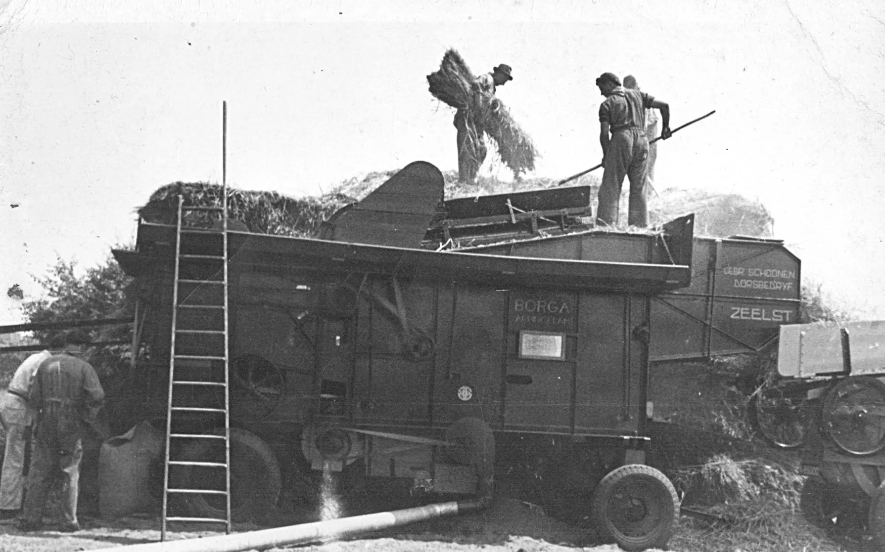 boerendorsengebr schoonen klein