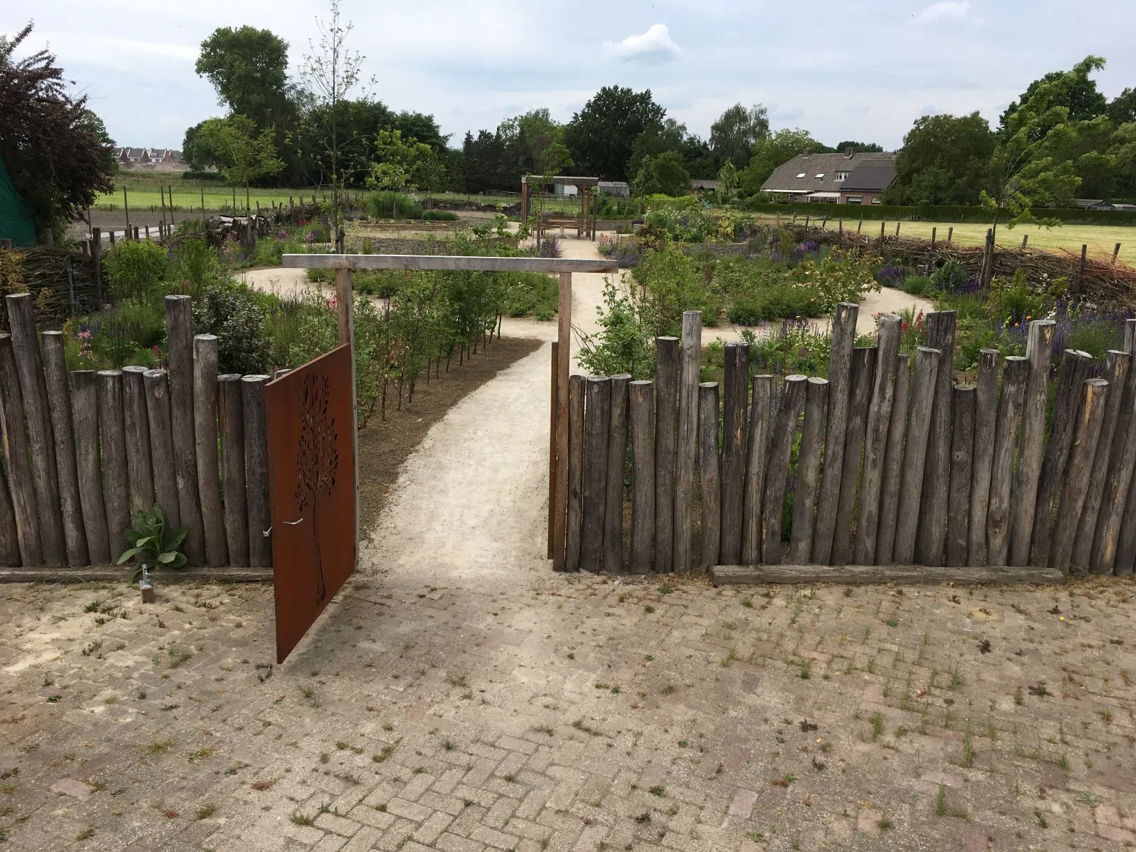 dementietuin1