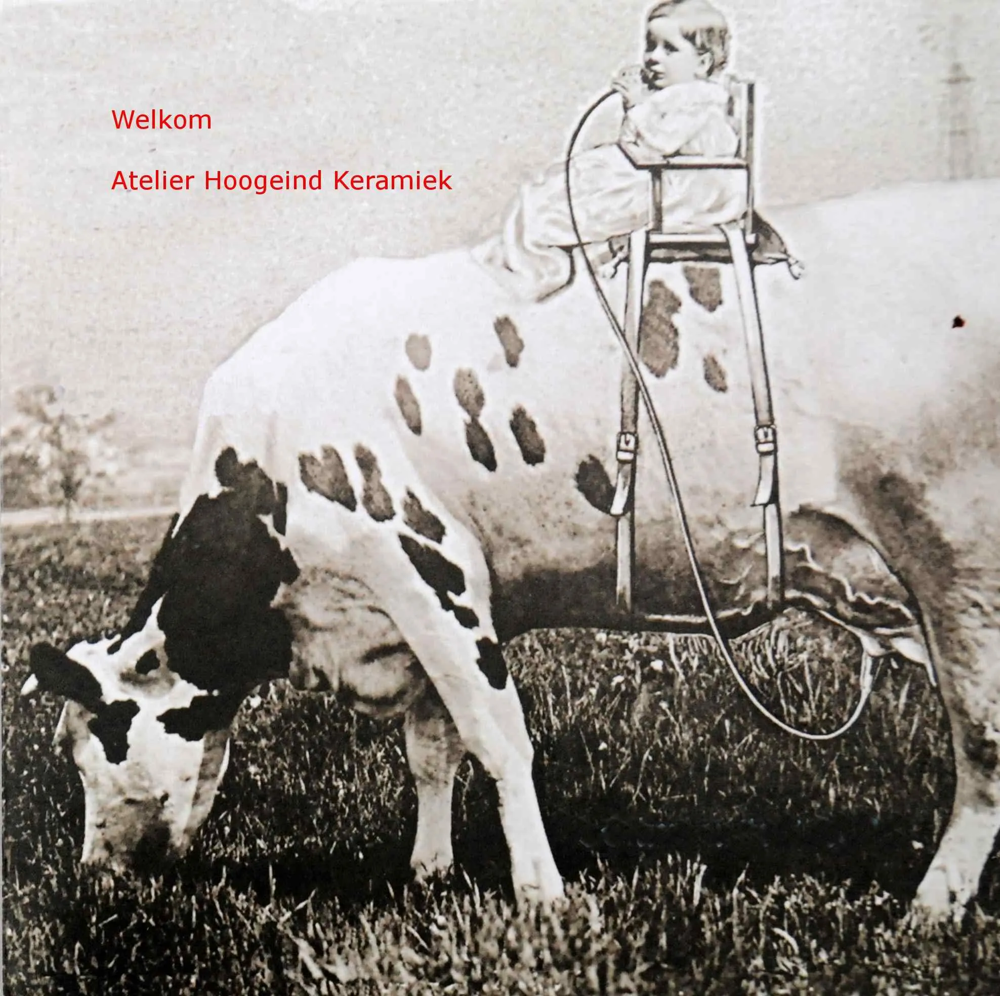 fd8c4ba7 82e3 4138 8c24 f9dd1164d8ea