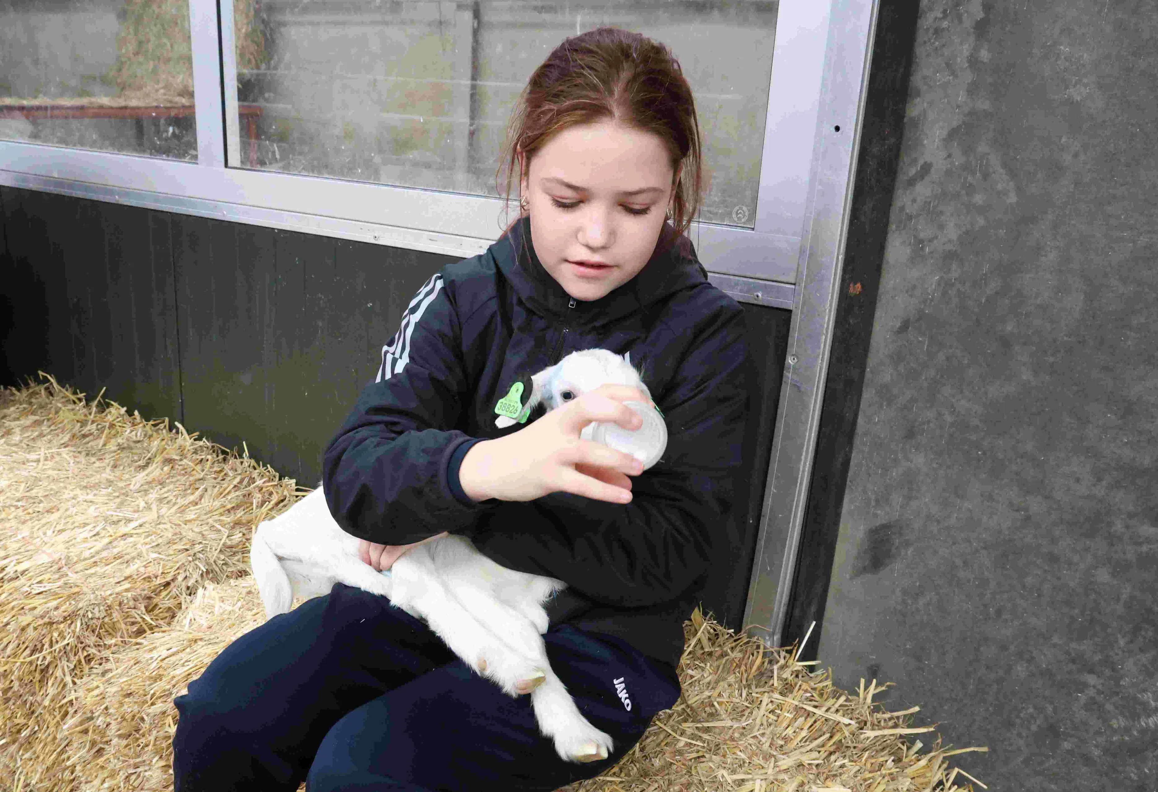 geitenkijkdag 160324 03