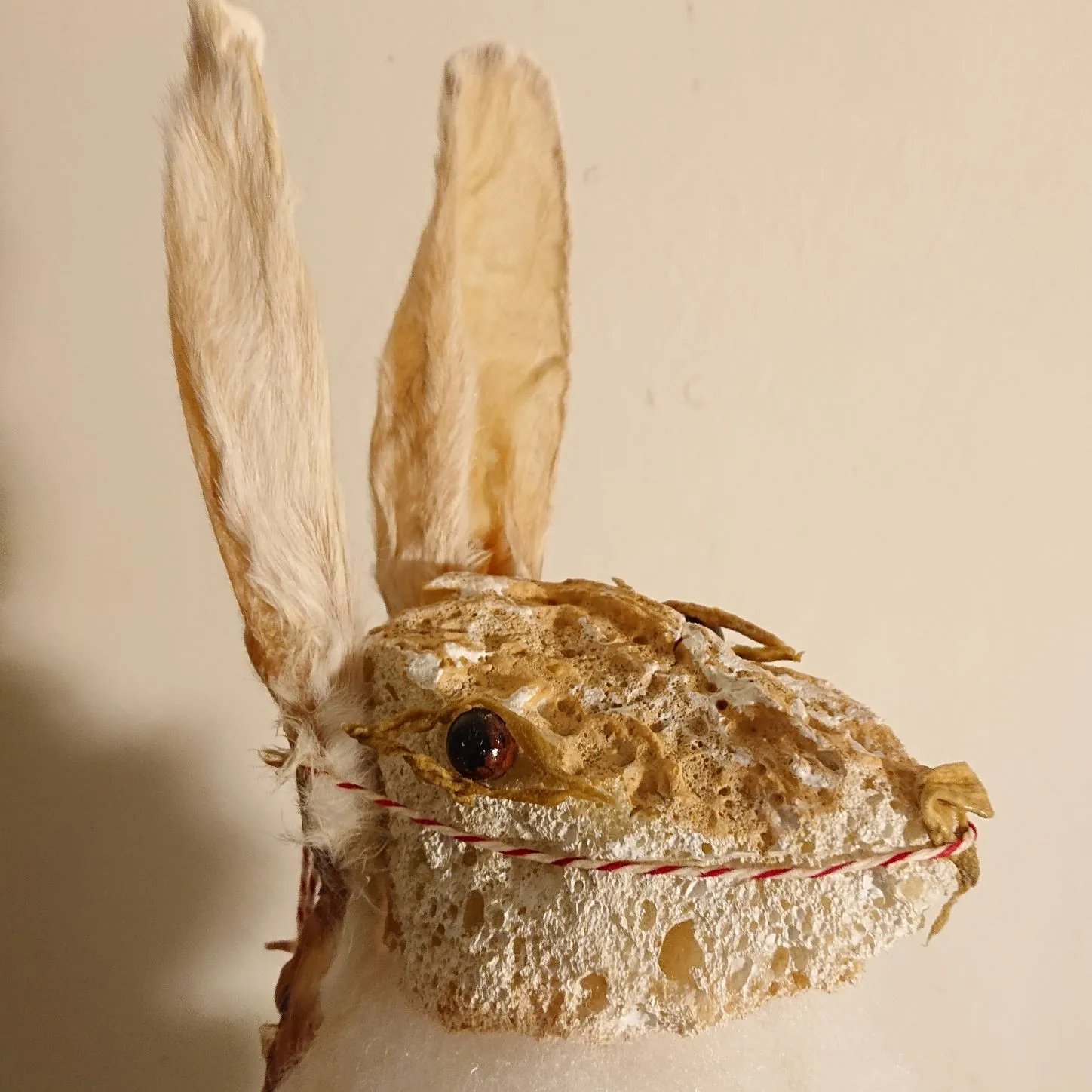 hemel lichaam kunst wilma linders