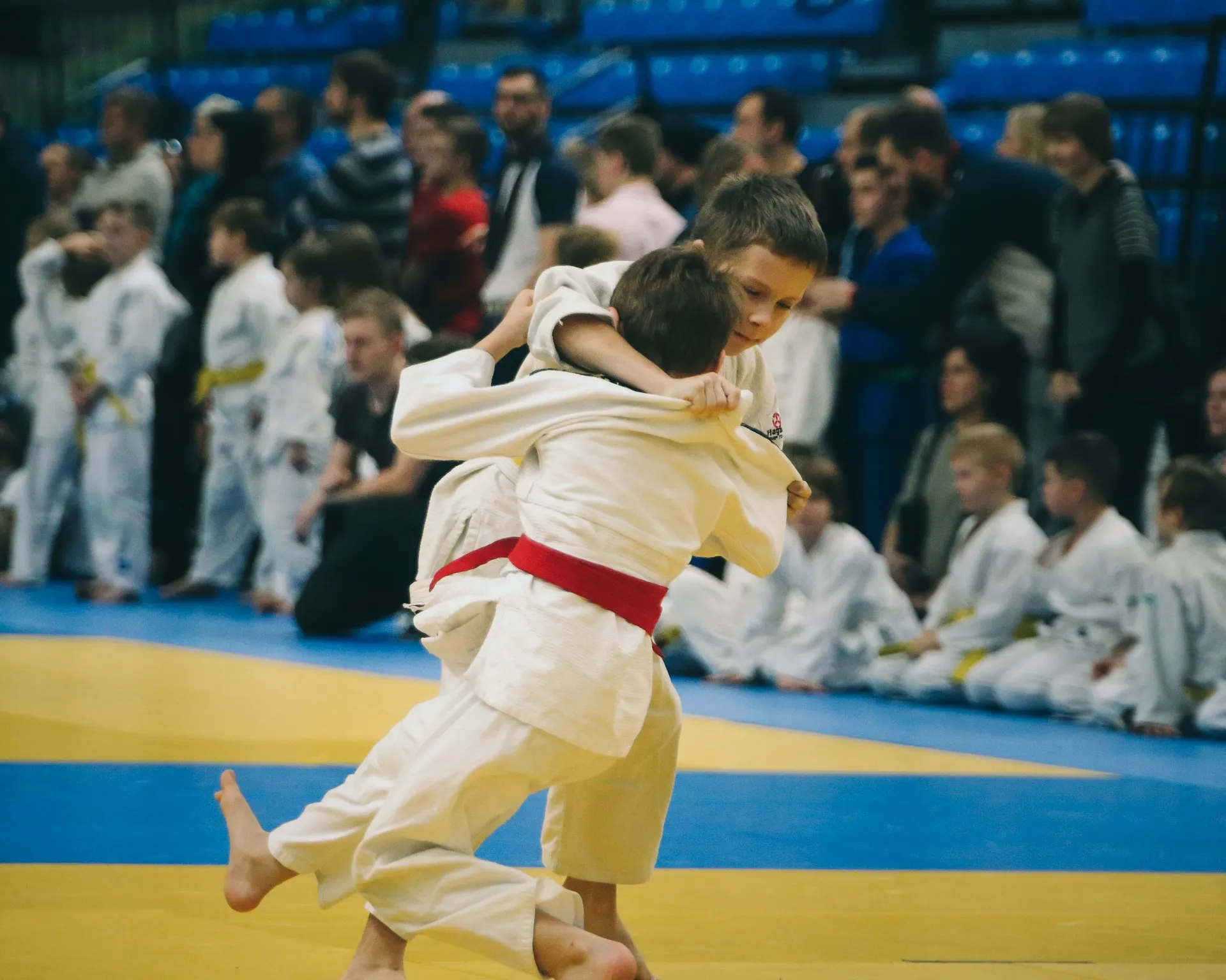 judo markus via pixabay