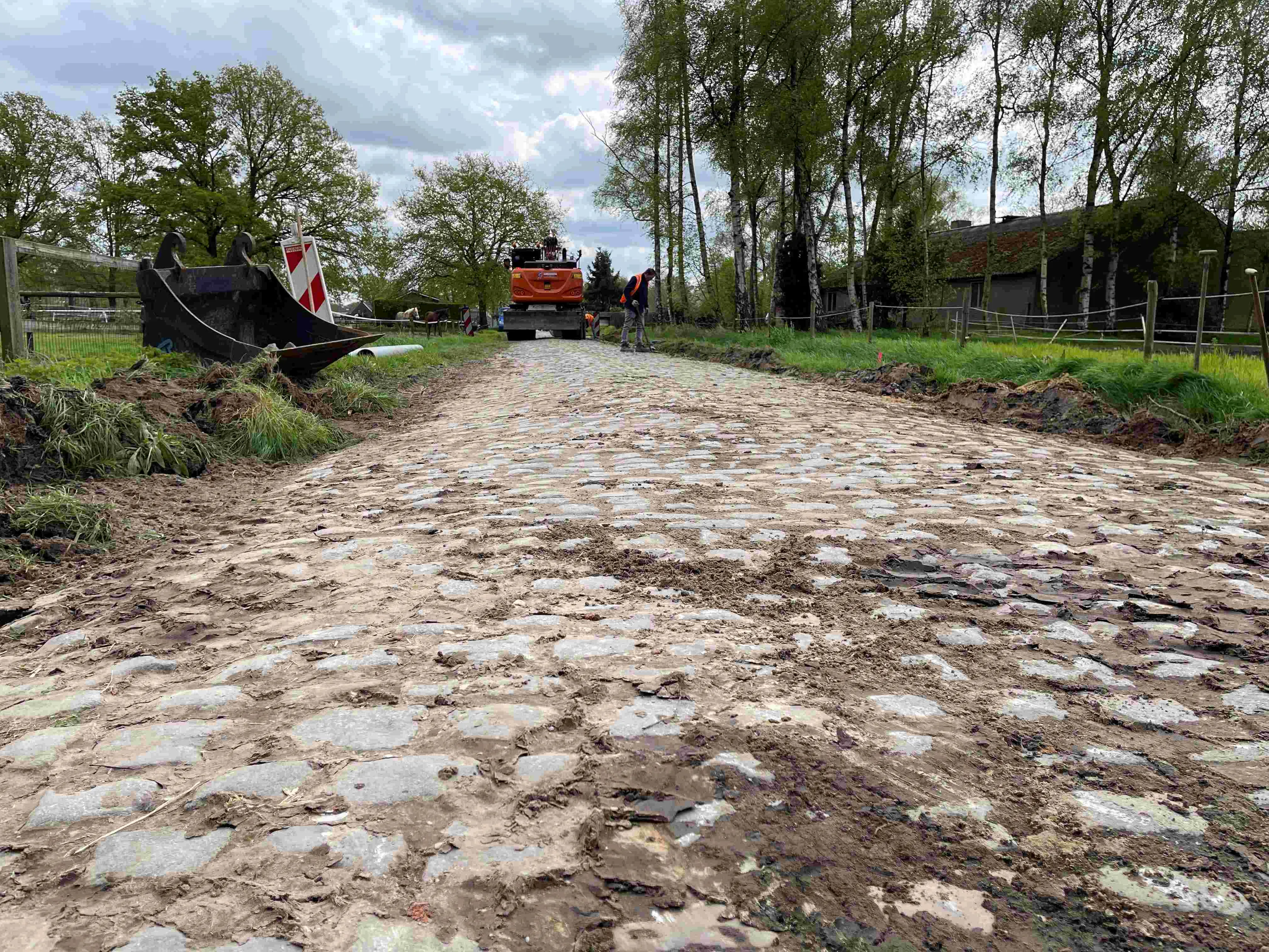 kinderkopjes hoogeind