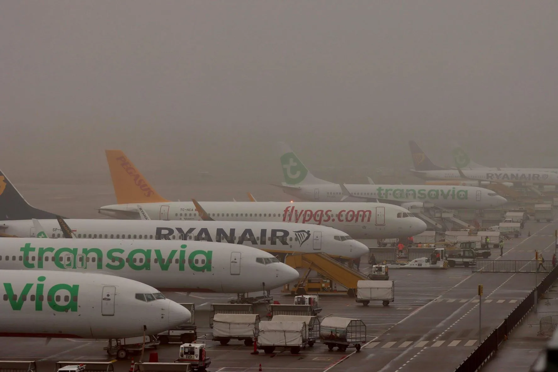 mist airport jerry immers