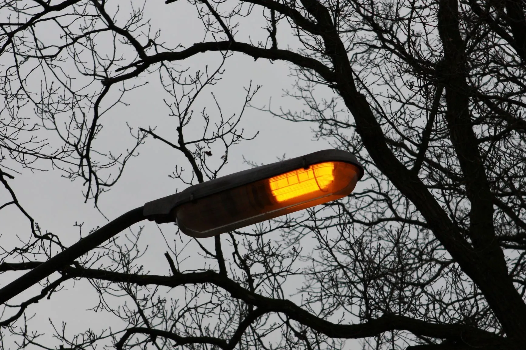 natriumlamp