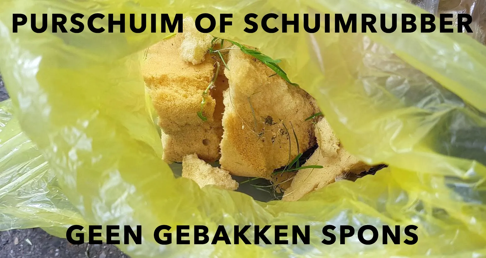 purschuim