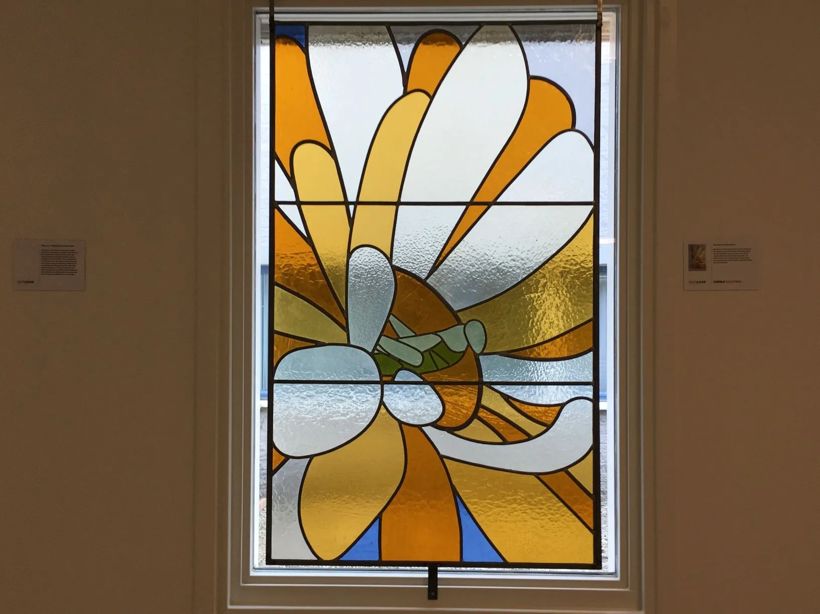 raam veerle kolsters