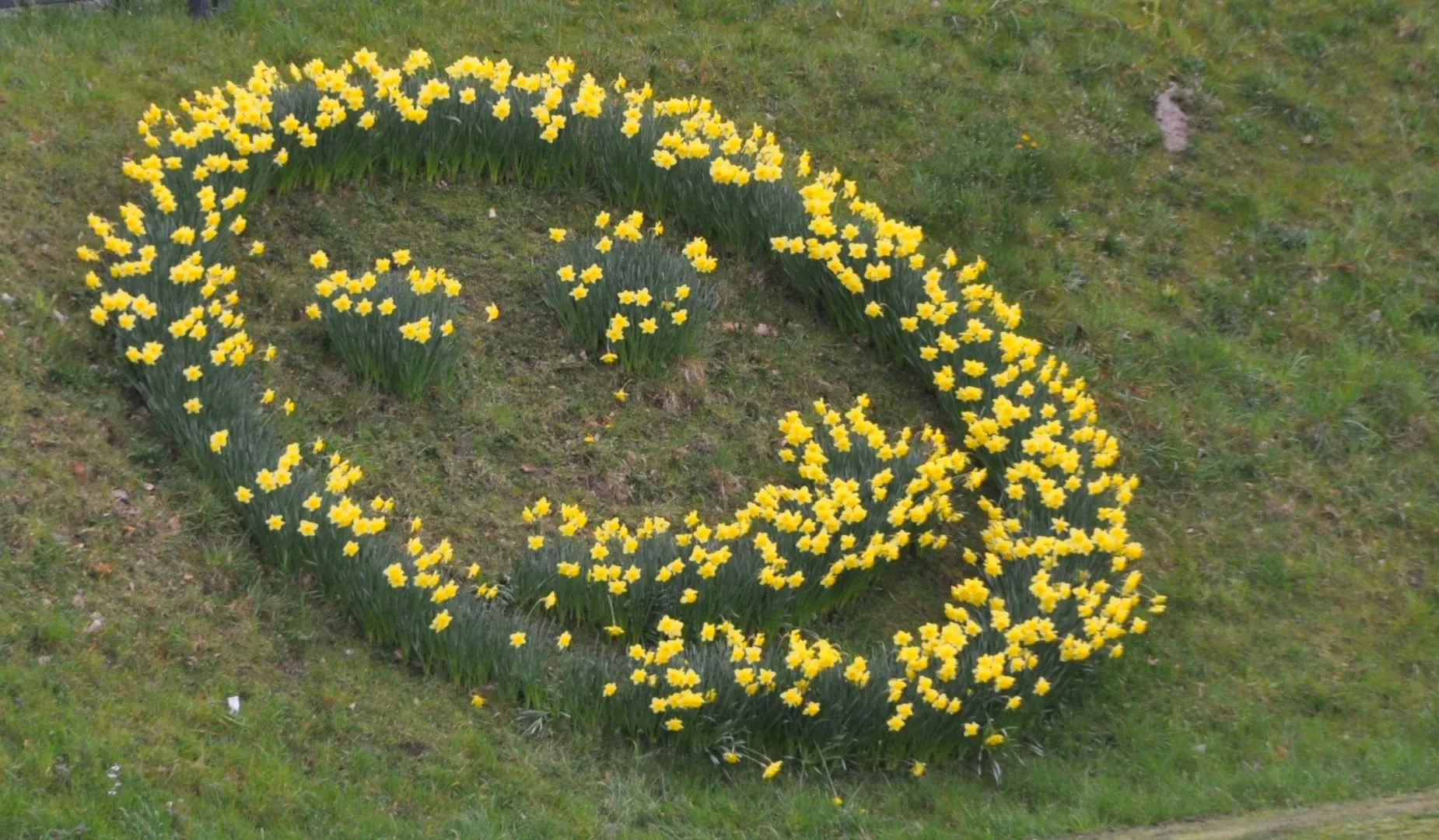 rotondesmiley