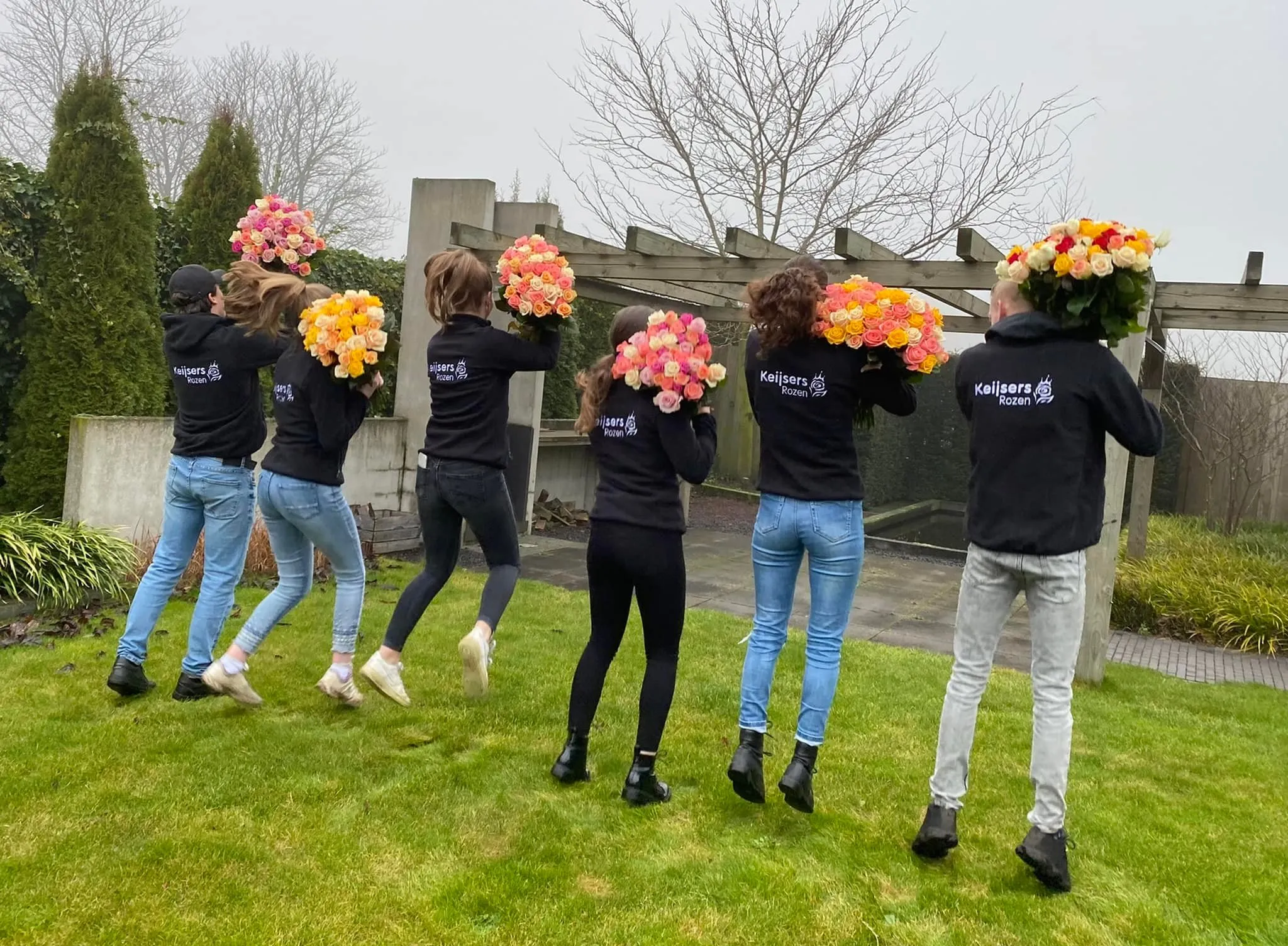 rozen keijsers rozen