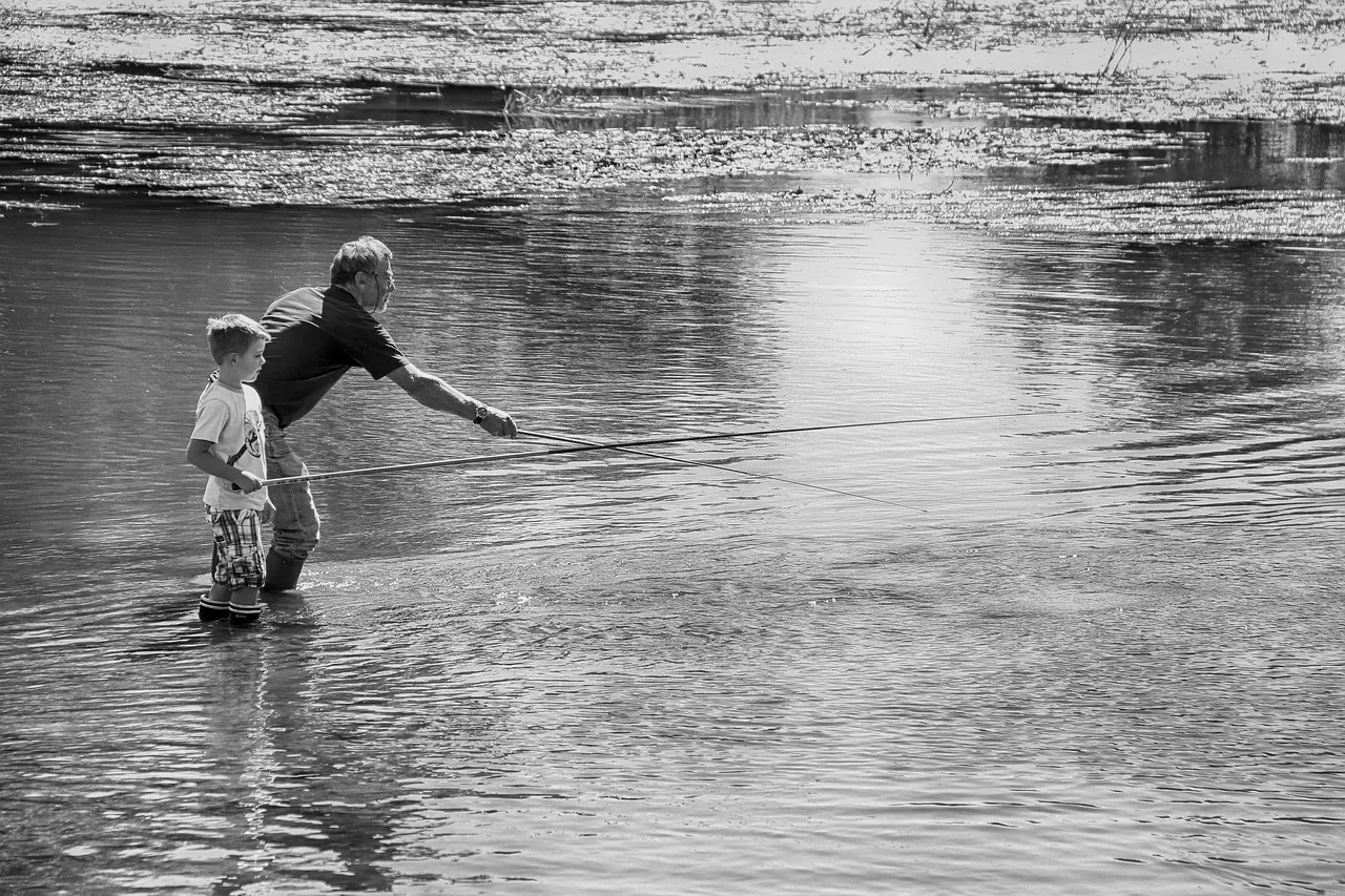 visser chriselle prieur via pixabay