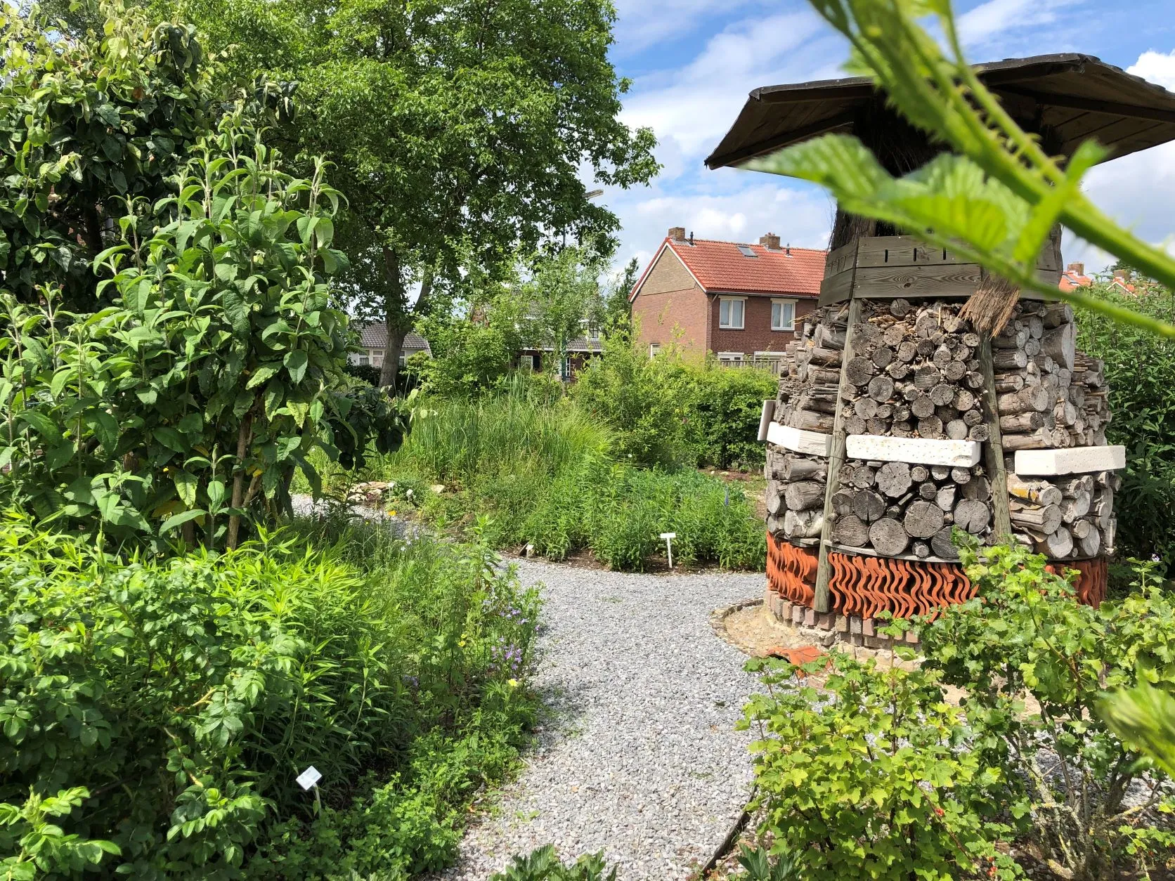 vlindertuin 2