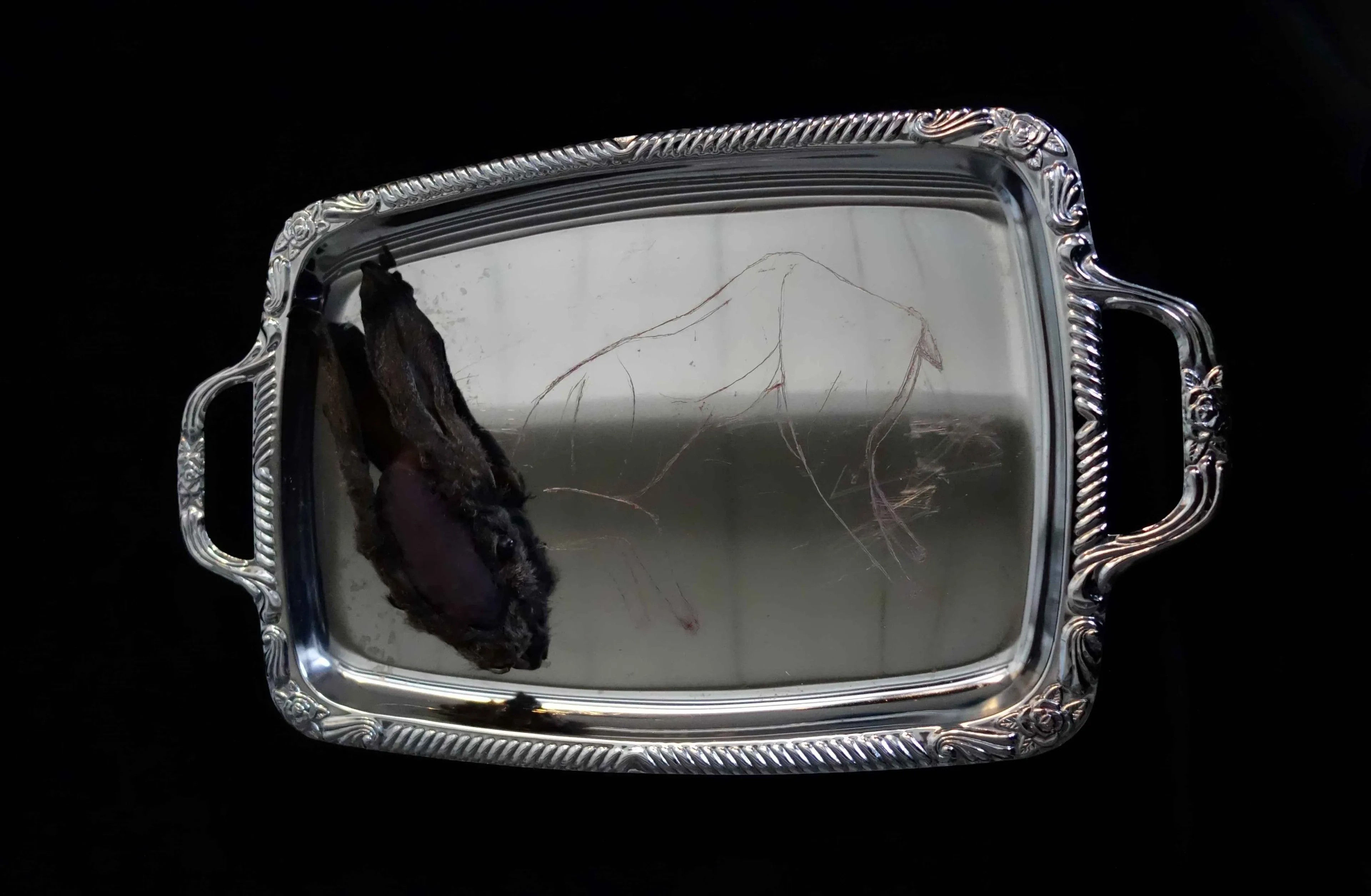 wilma linders mosterd