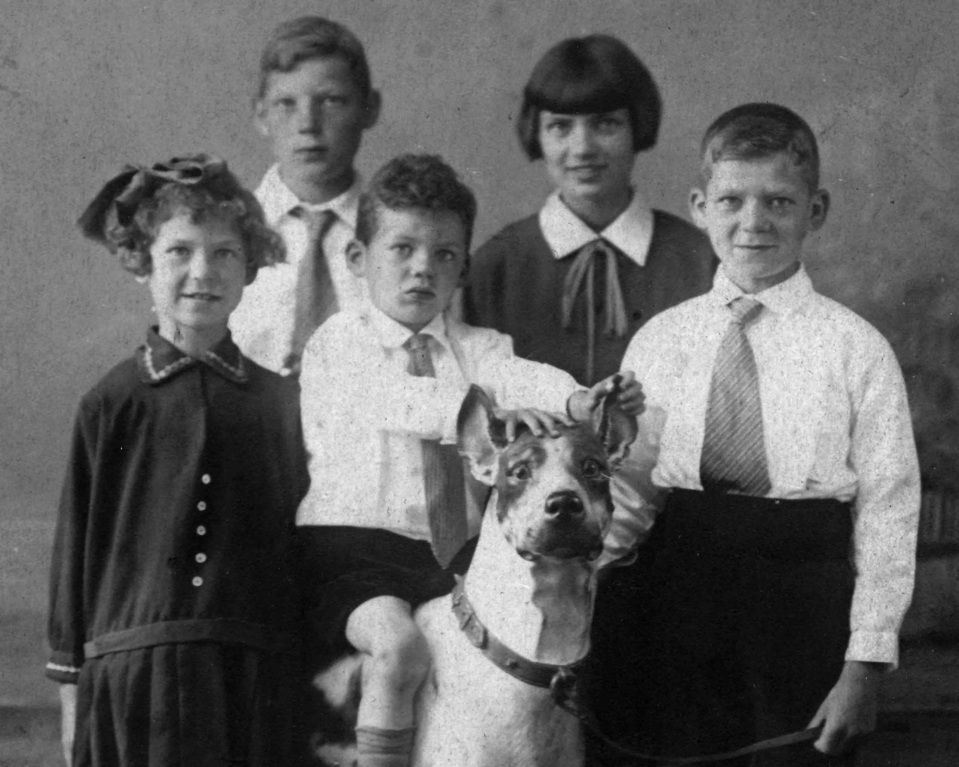 publicatie ngv najaar 24