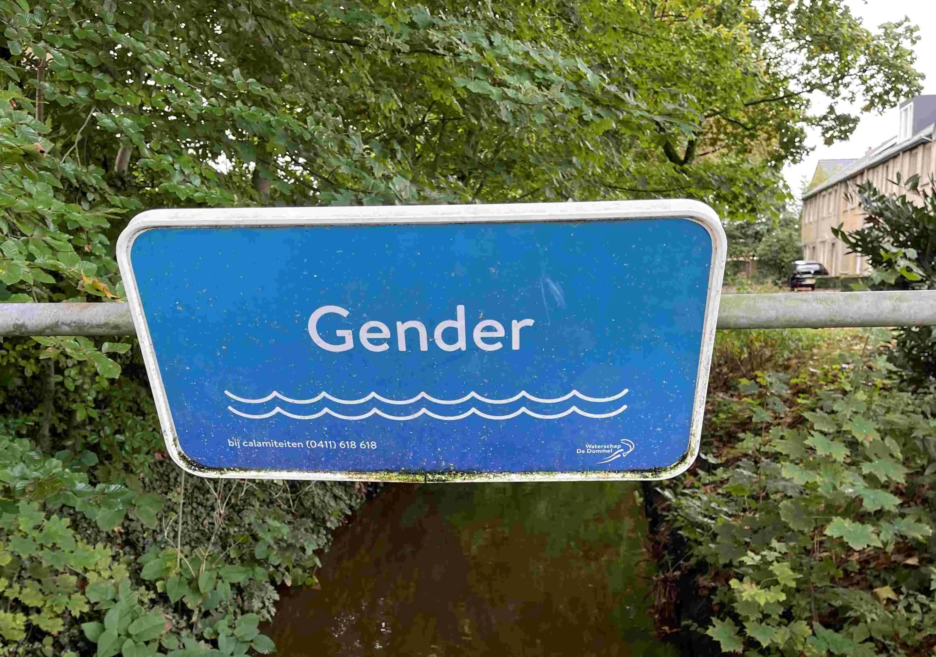 gender