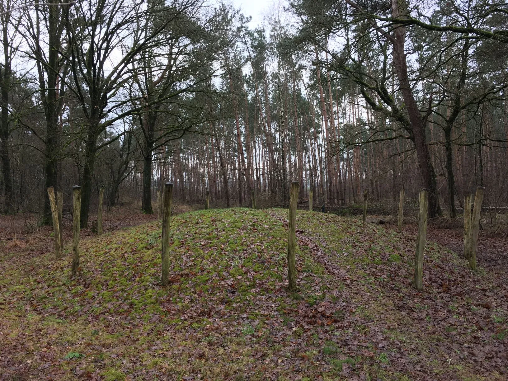 grafheuvel palenkrans toterfout