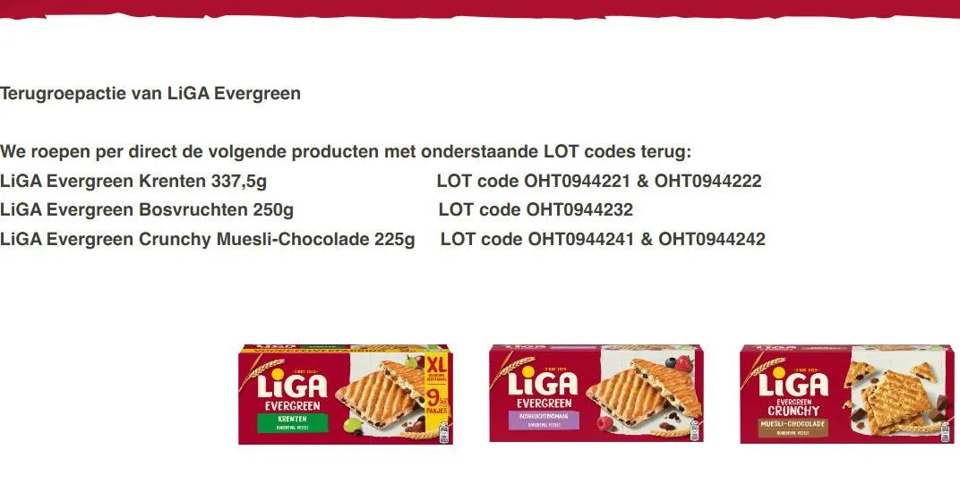 liga evergreen crunchy