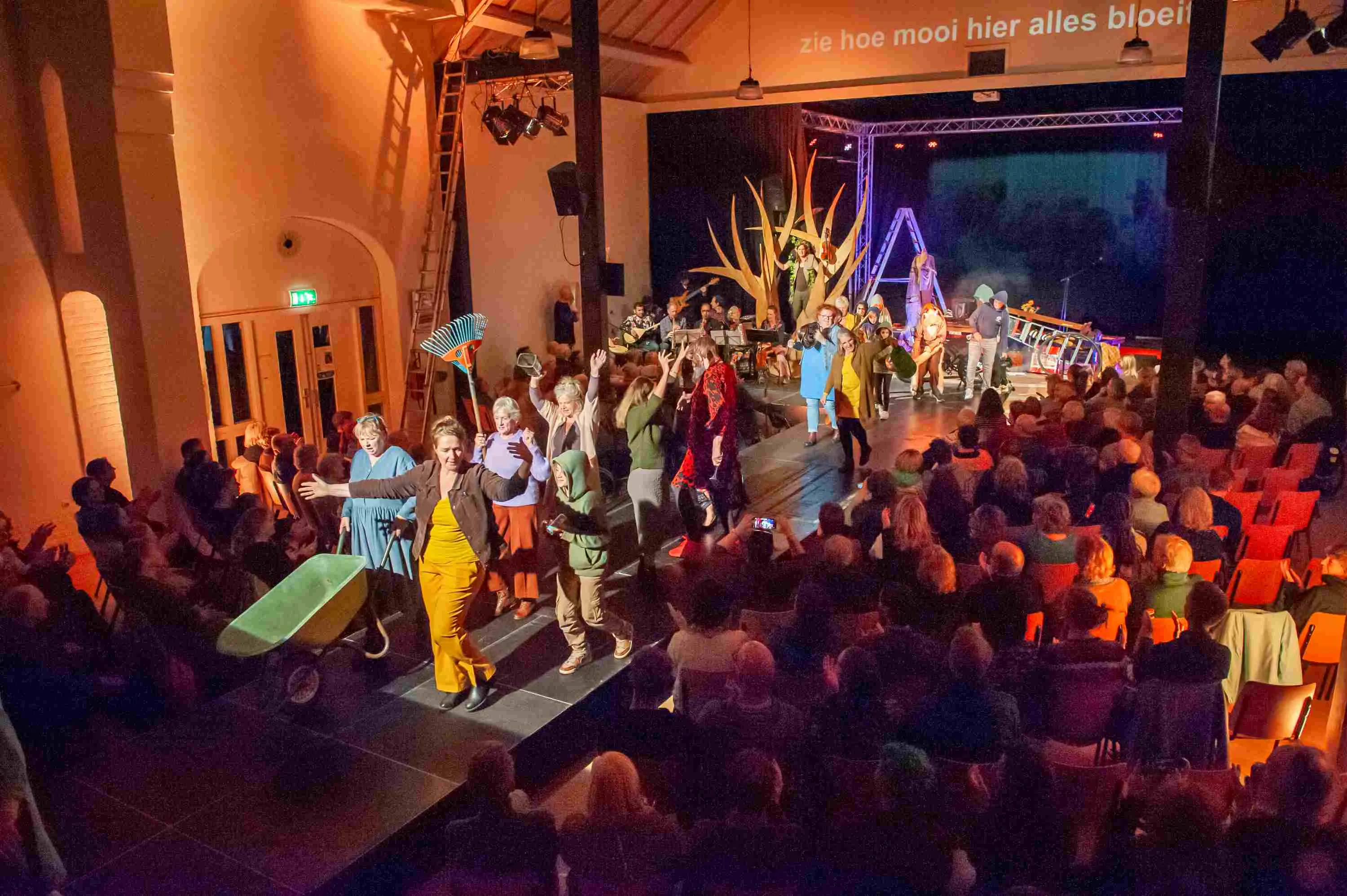 hond van boschveld foto van olaf smit