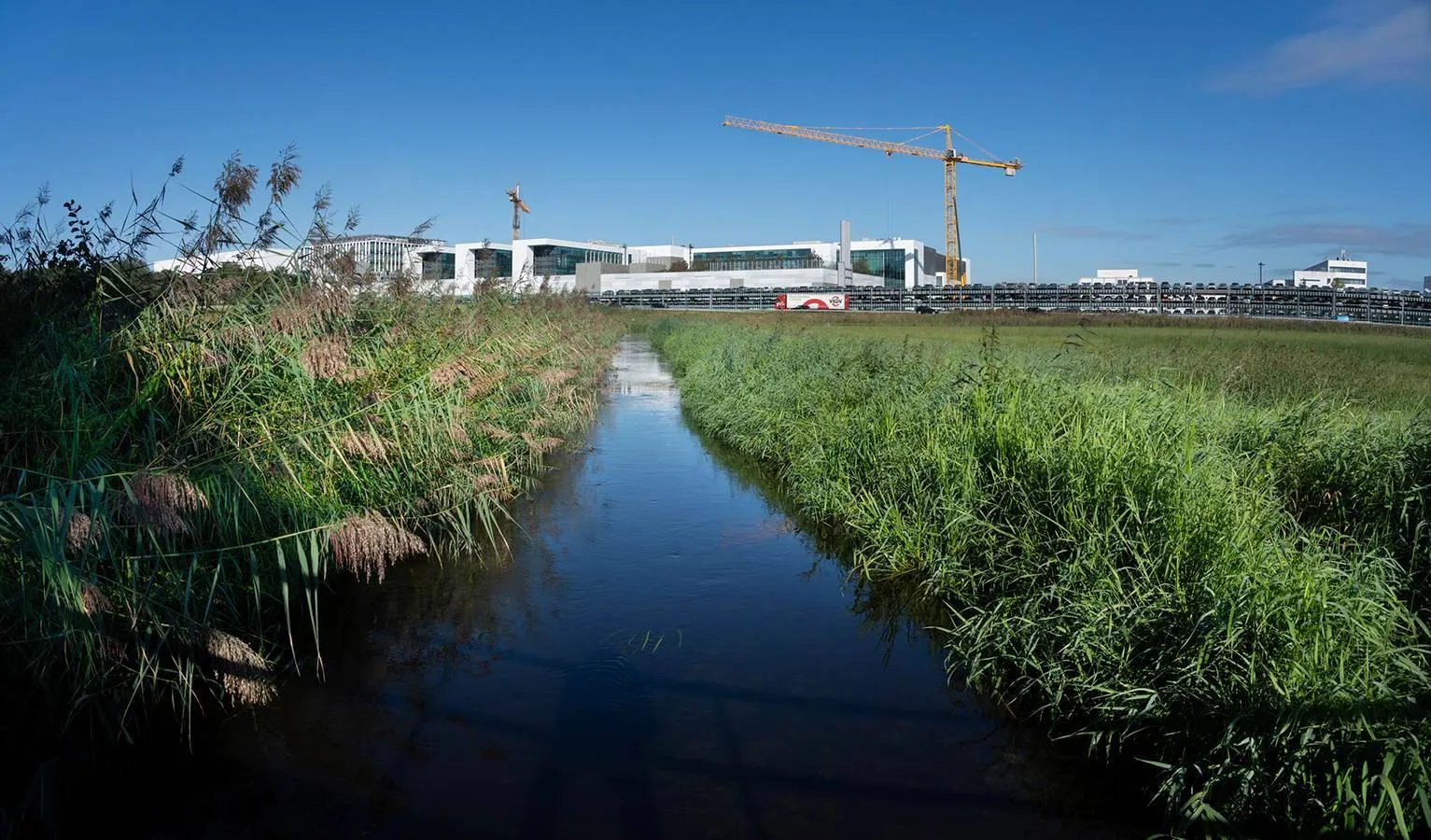 run heers dommel gebied