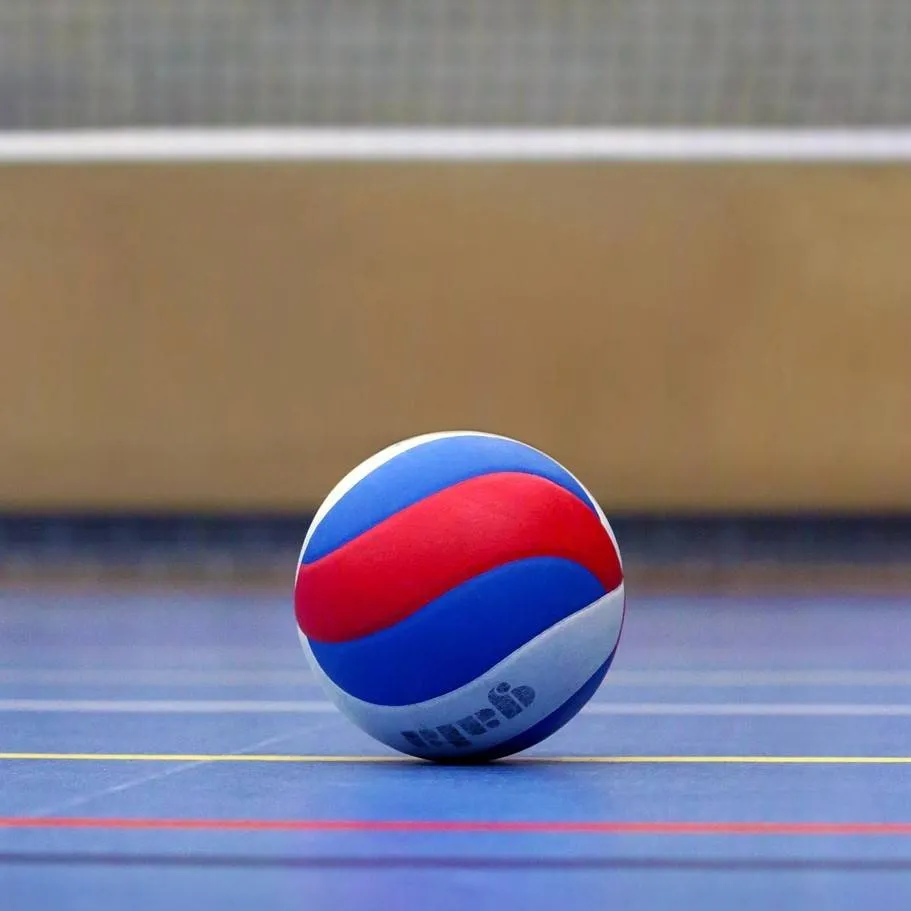 volleyball pixabay taniavdb
