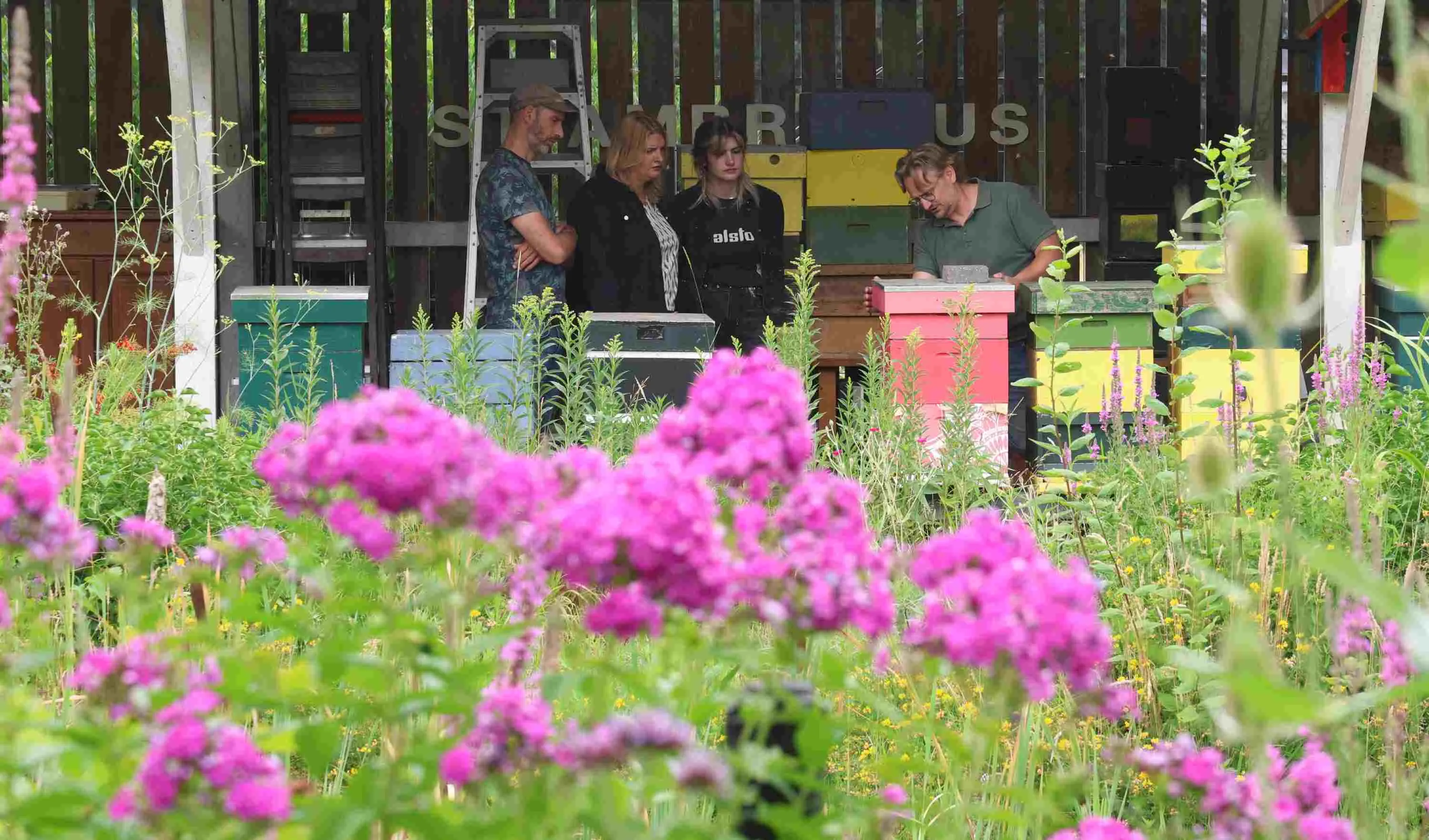 Open-Imkerijdag-04