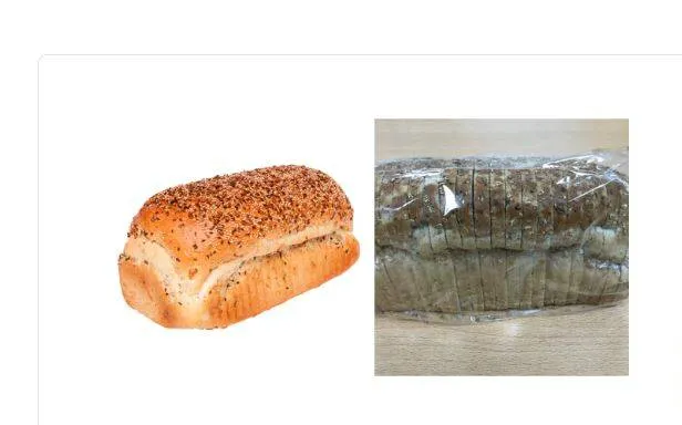 Jumbo brood