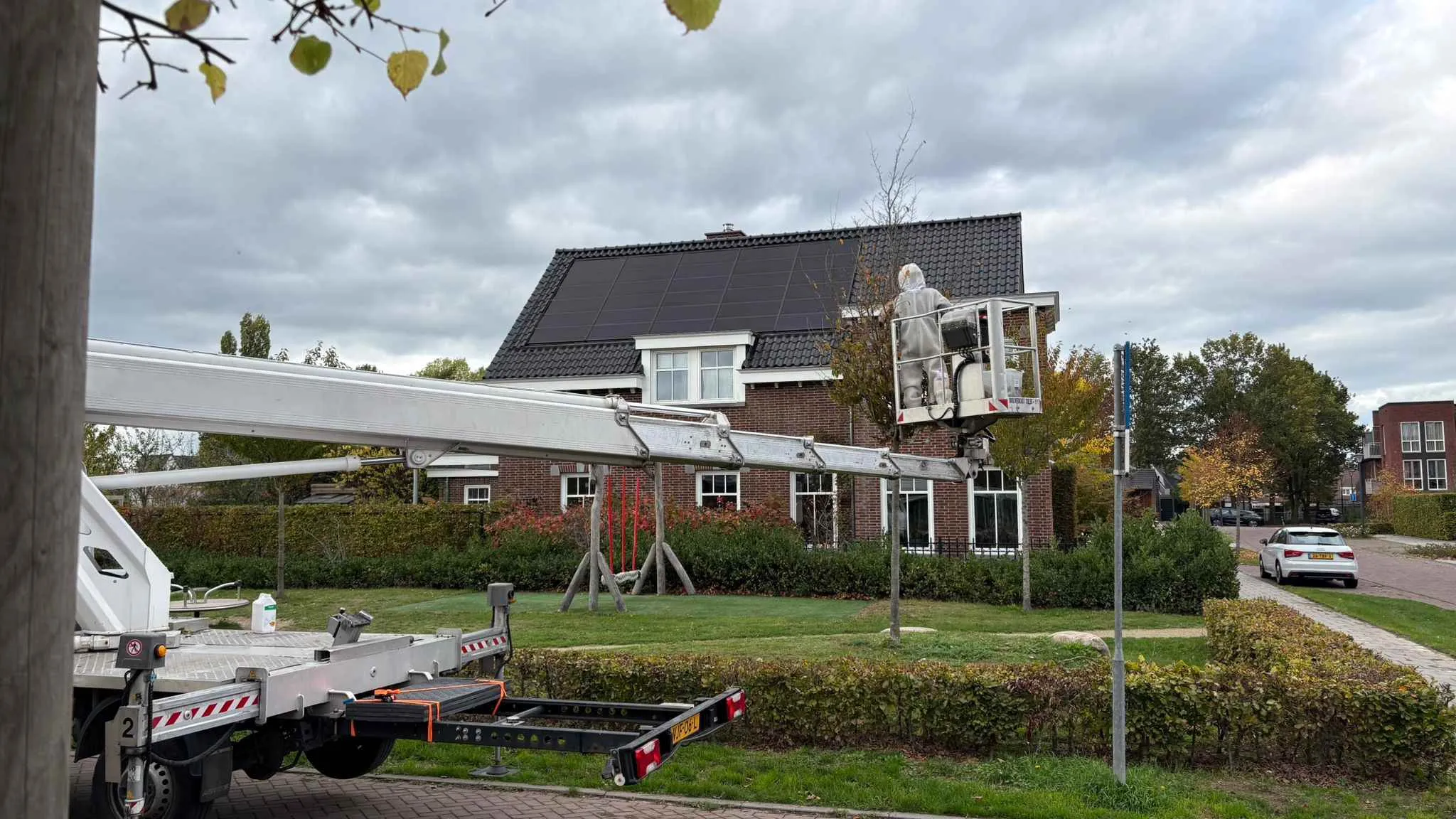 hoornaar-Oerle-Zuid-01