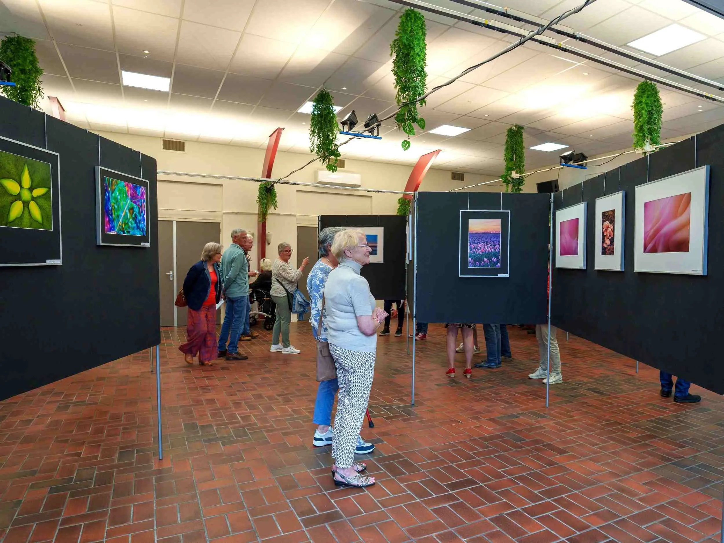 Expo Fotogroep Veldhoven 2026