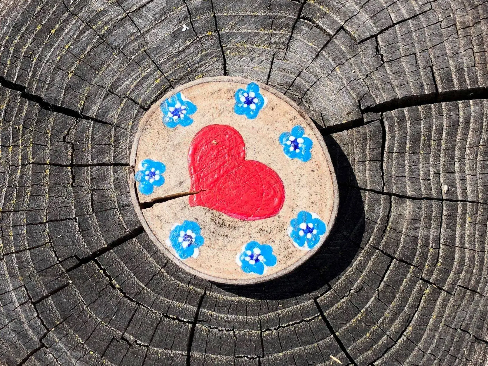 Hartje-op-hout